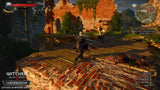 The Witcher 3 Wild Hunt Nintendo Switch