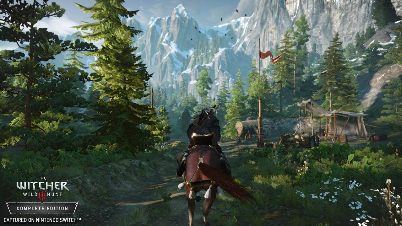 The Witcher 3 Wild Hunt Nintendo Switch