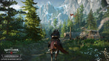 The Witcher 3 Wild Hunt Nintendo Switch