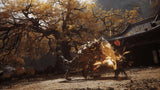 Black Myth Wukong Deluxe Indian ps5