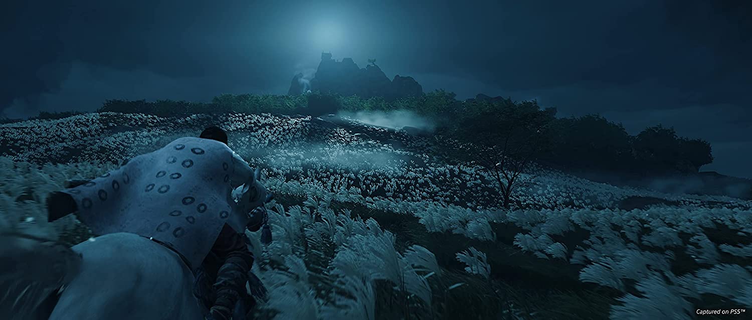 Ghost Of Tsushima Director Cuts PS5