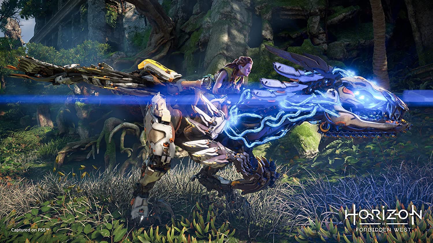 Horizon Forbidden West PS4