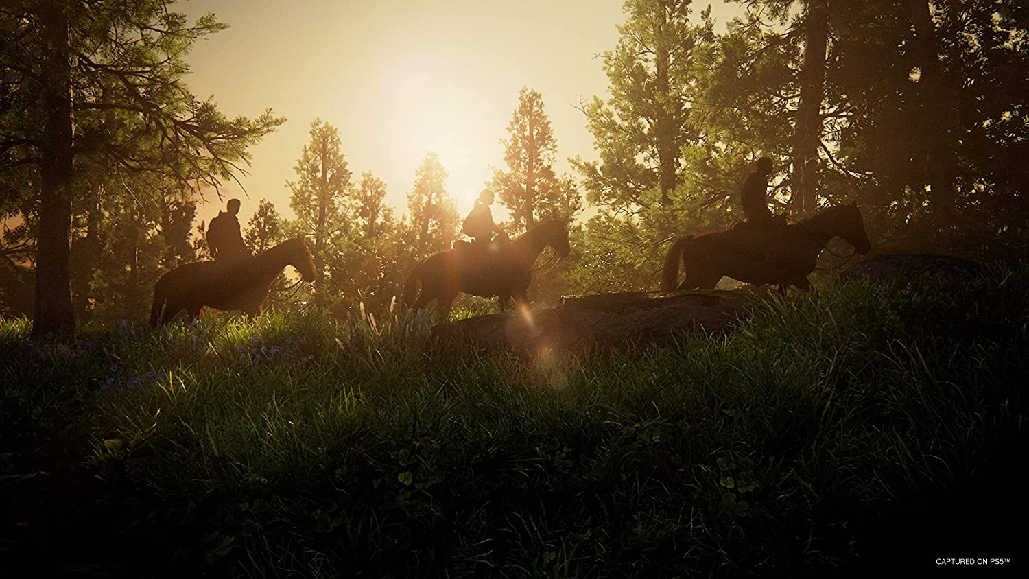 THE LAST OF US PART 1 PS5