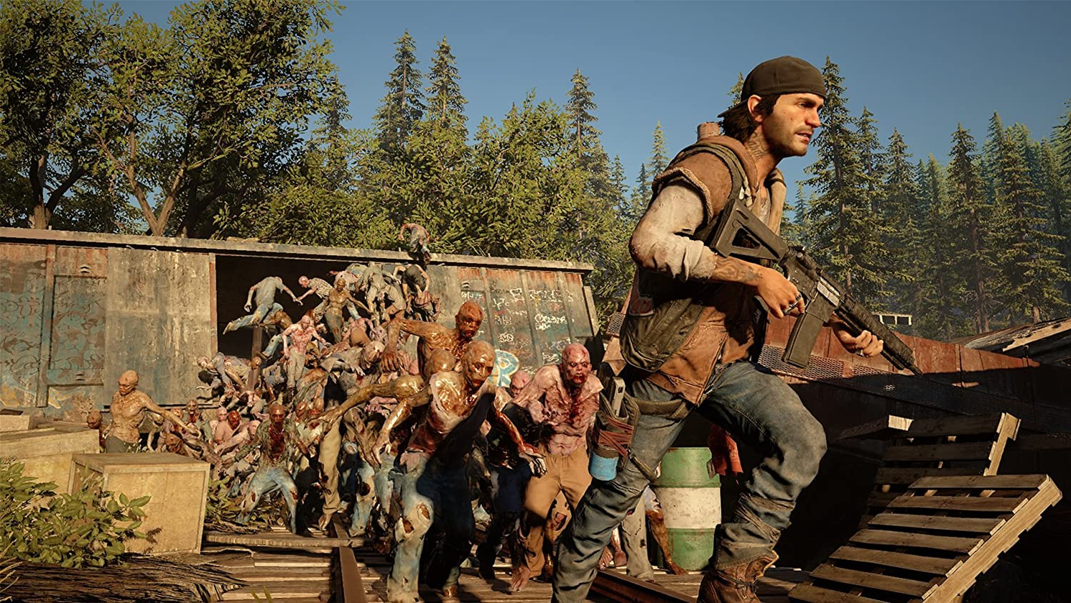 Days Gone : Special Edition (PS4)