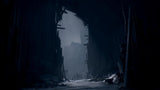 REANIMAL  ps5