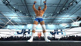 wwe 2k26  Nintendo Switch 2